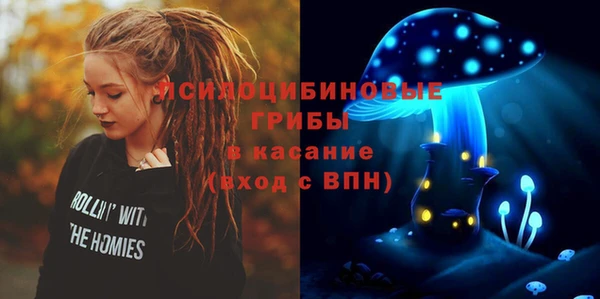 хмурый Алексин