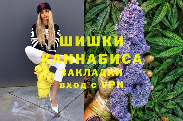 хмурый Алексин