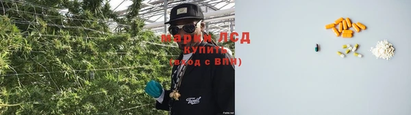 PSILOCYBIN Алексеевка