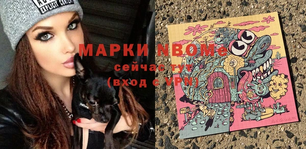 спайс Няндома