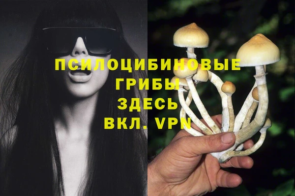 Альфа ПВП Нягань