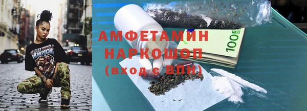 хмурый Алексин