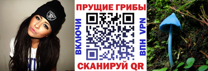 Псилоцибиновые грибы GOLDEN TEACHER  наркота  Асбест 